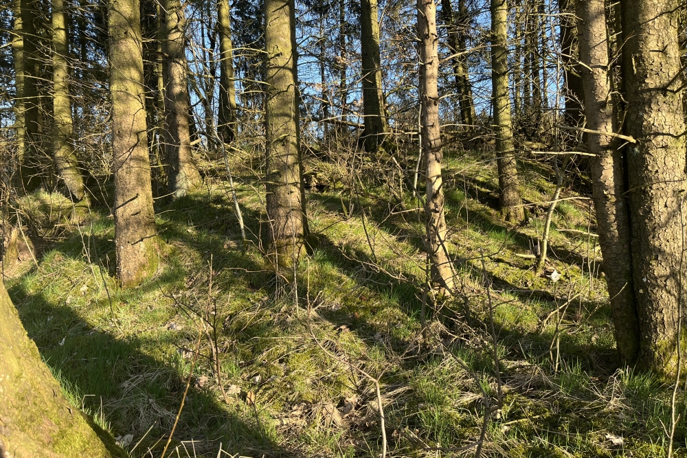 Westwall - Remains Bunker Kehr