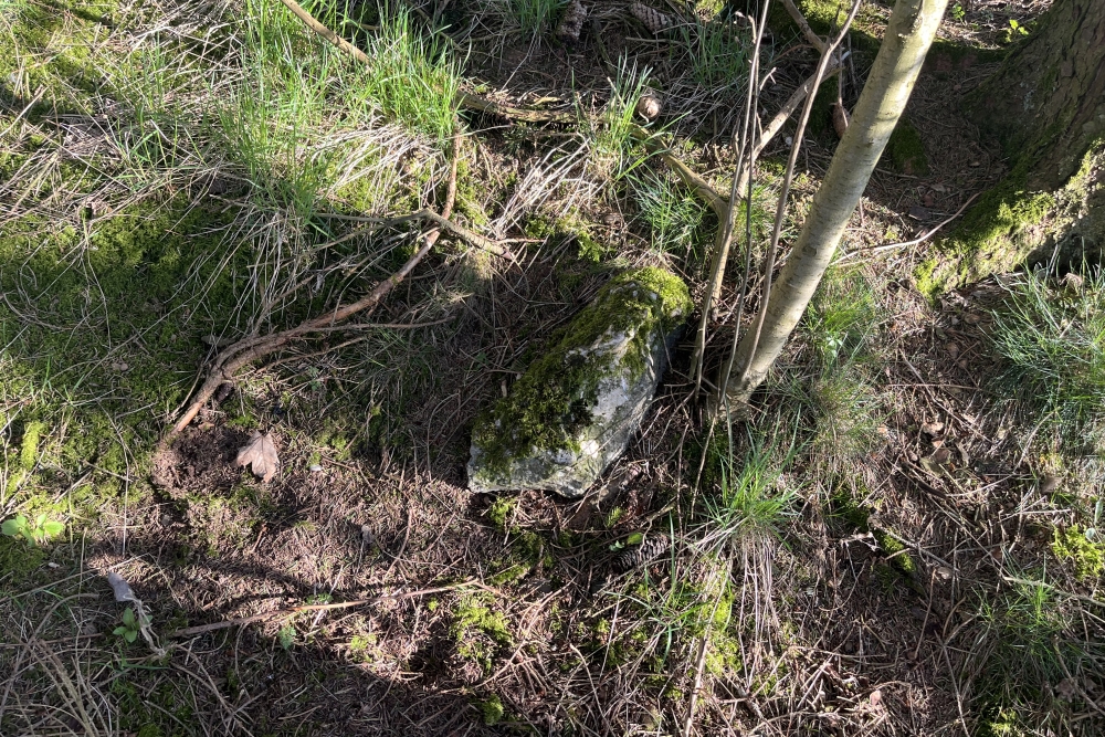 Westwall - Remains Bunker Kehr #2