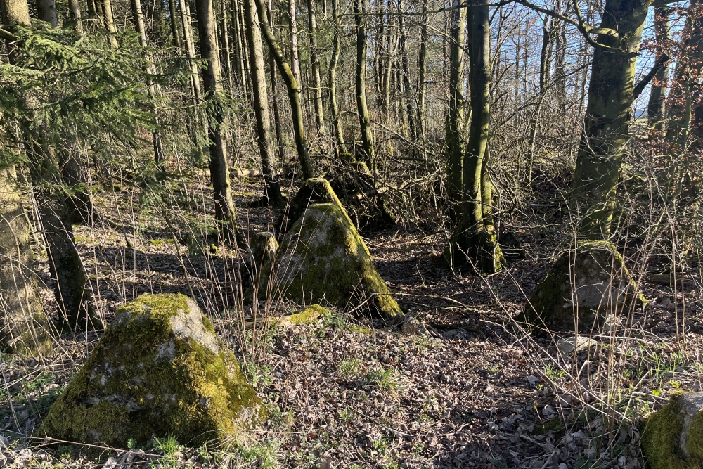 Westwall - Tank Barrier Kehr 