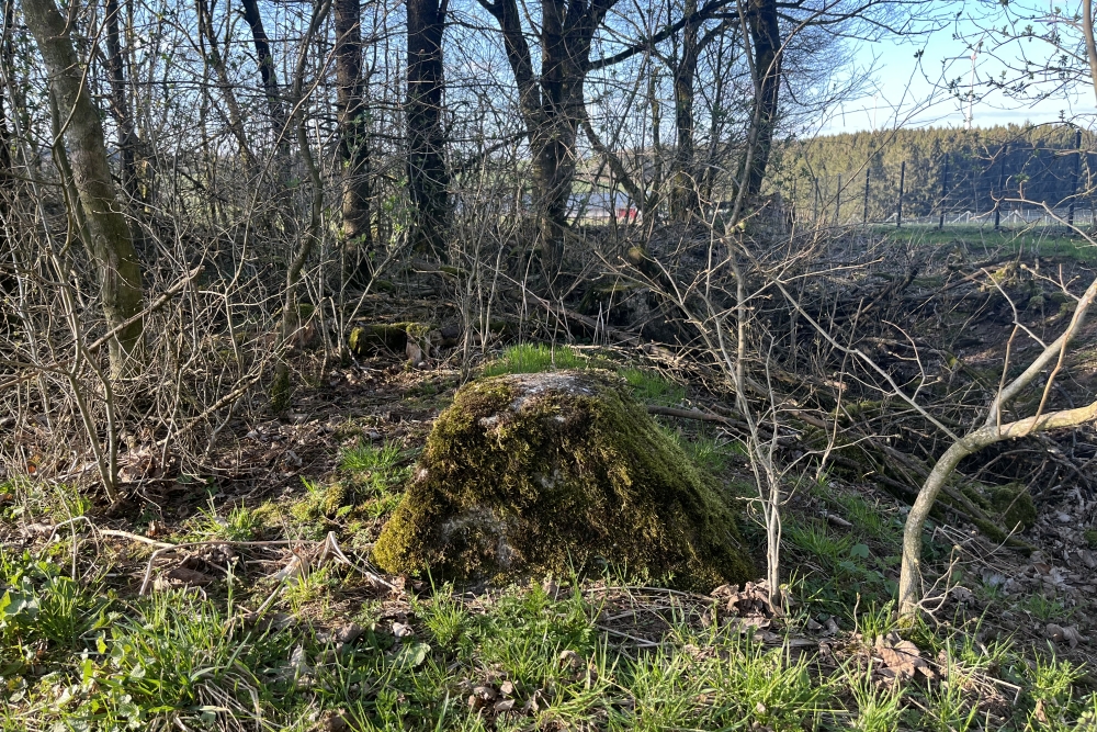 Westwall – Tankversperring Kehr #2