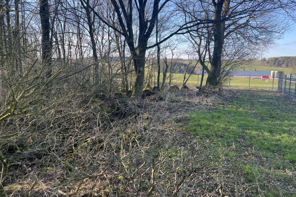 Westwall – Tankversperring Kehr #3