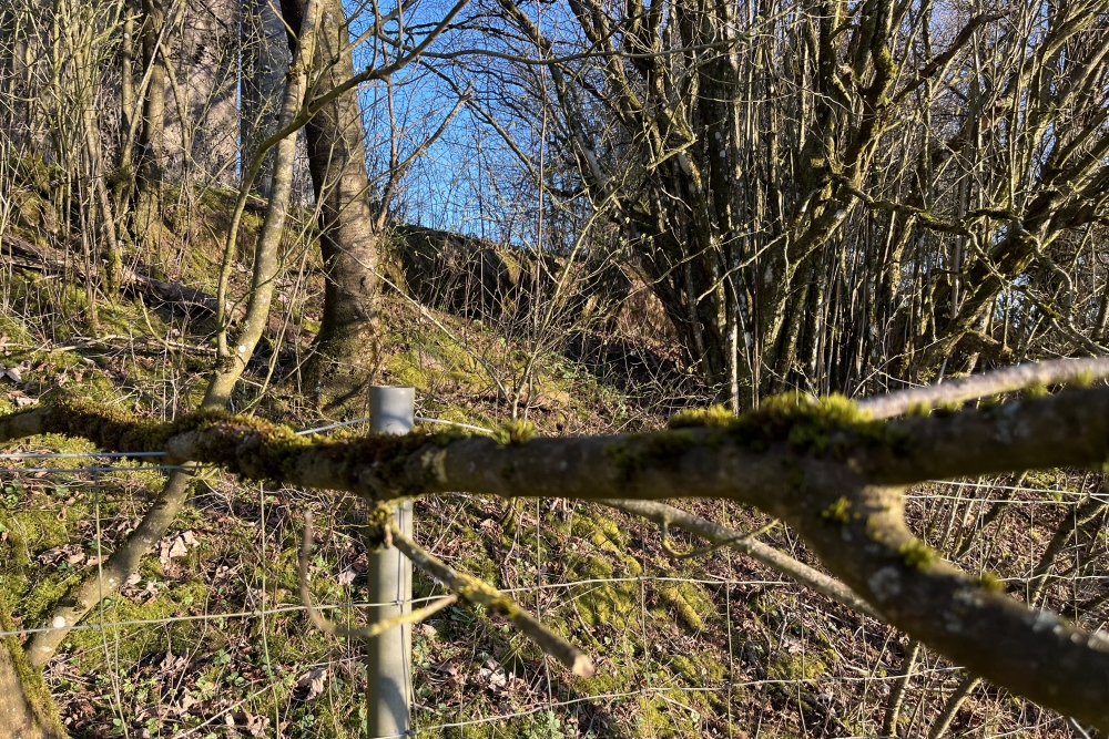 Westwall – Restant Bunker Kehr #4