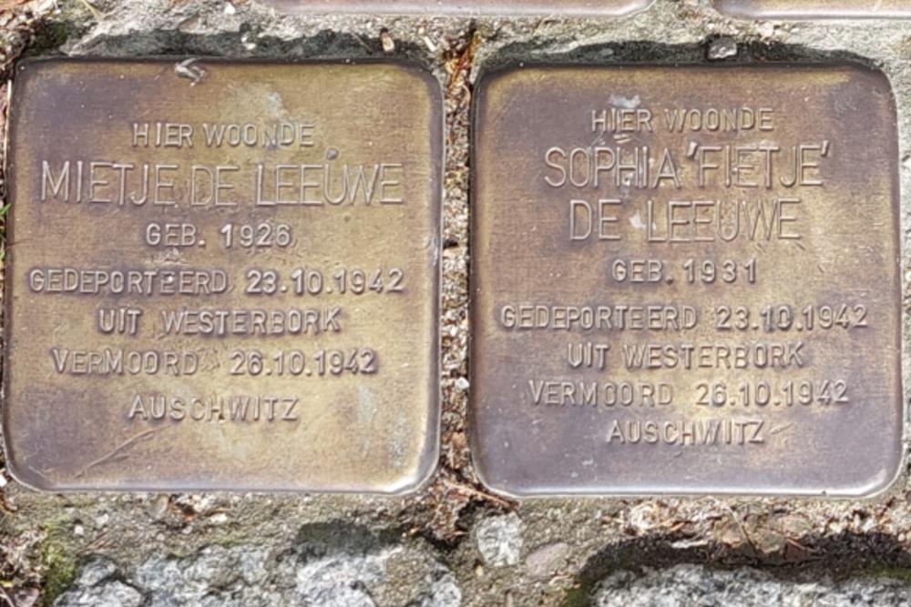 Stolpersteine Raam 101 #5