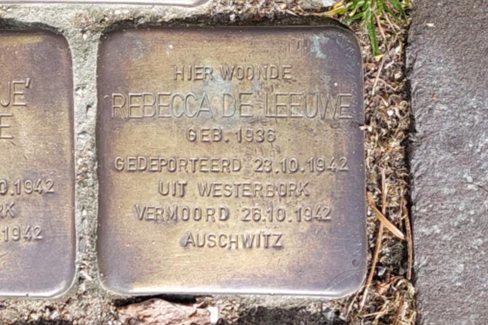 Stolpersteine Raam 101 #6