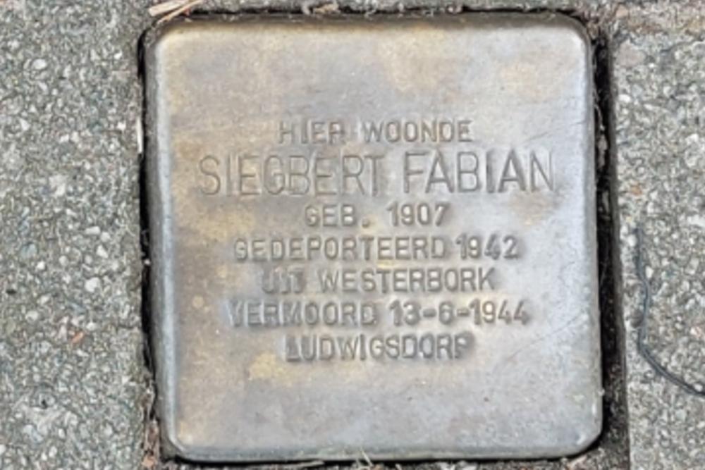 Stolpersteine Bergweg 262a #5