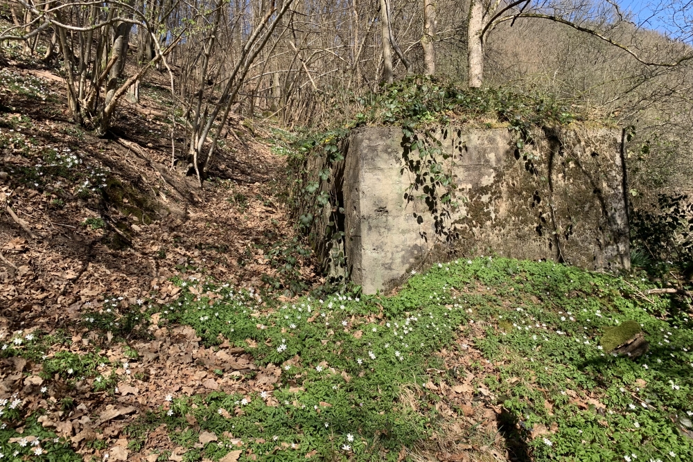 Bunker A - Advanced Position Stavelot #2