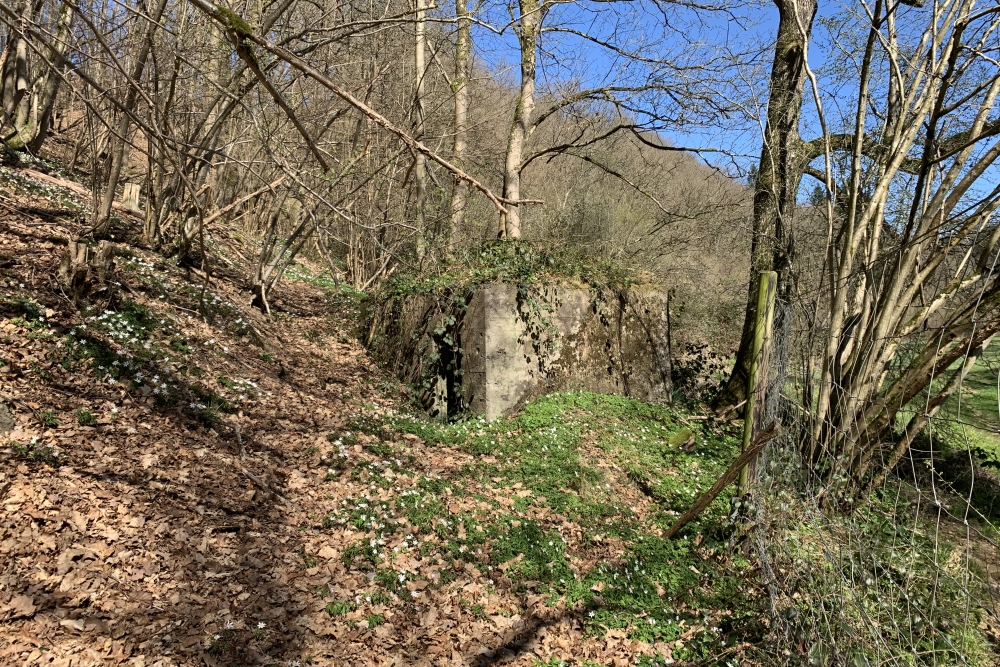 Bunker A - Advanced Position Stavelot #5