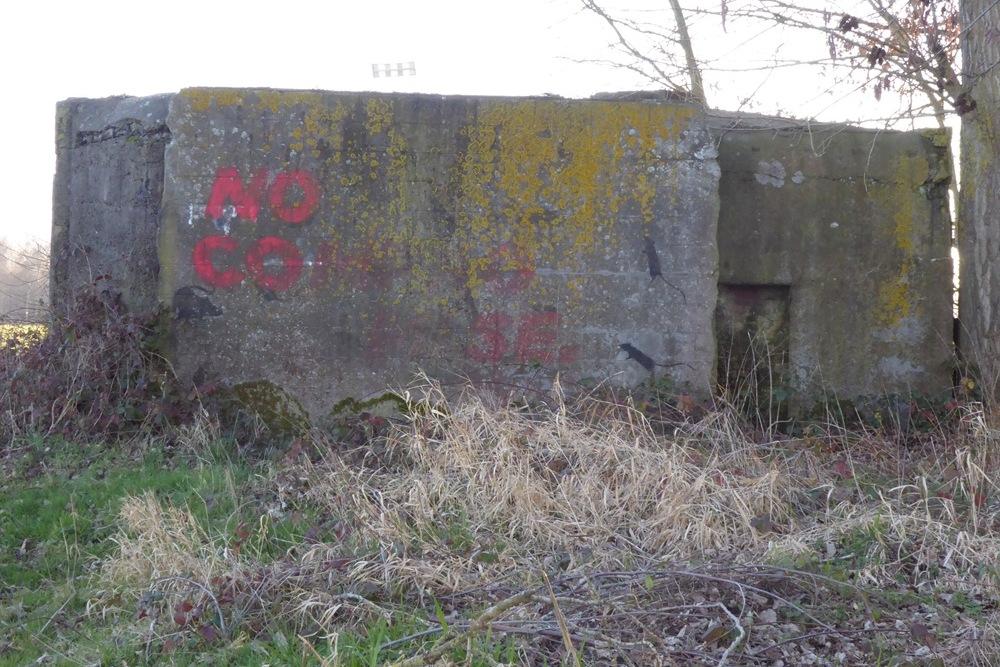 Bunkergordel Bruggenhoofd Gent - Achterliniebunker B36 #2