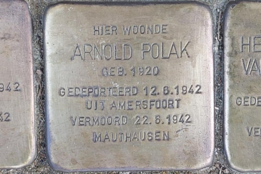 Stolpersteine Fluwelensingel 33 #4