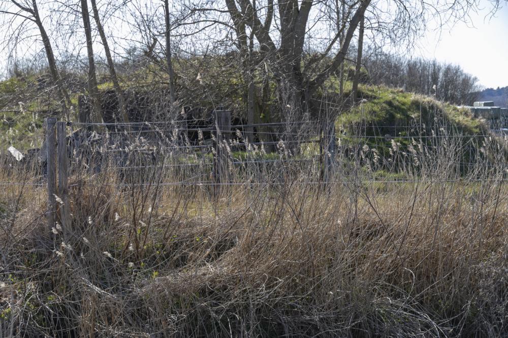 Fliegerhorst Bergen - Küver 467a Bunker (B16)