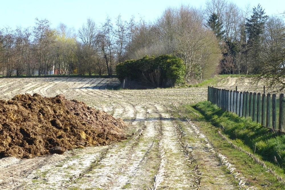 Bunker Belt Bruggenhoofd Gent – Rear Line Bunker B17 #5