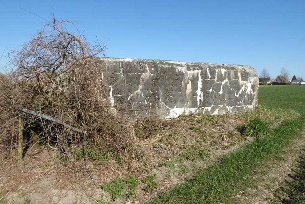 Bunker Belt Bruggenhoofd Gent – Rear Line Bunker B20 #3
