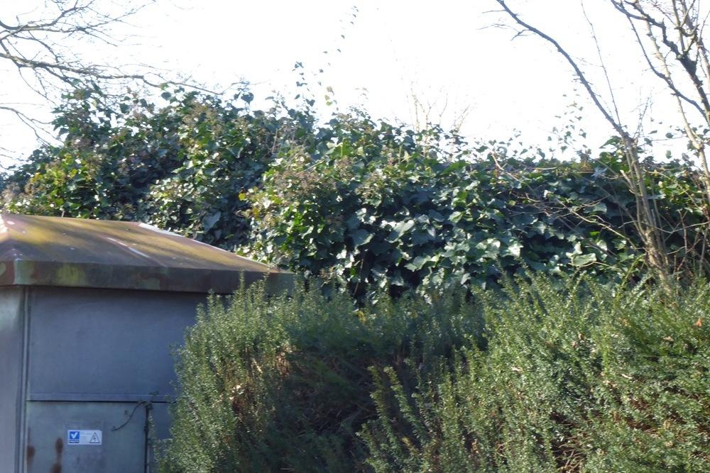 Bunker Belt Bruggenhoofd Gent – Rear Line Bunker B21 #3
