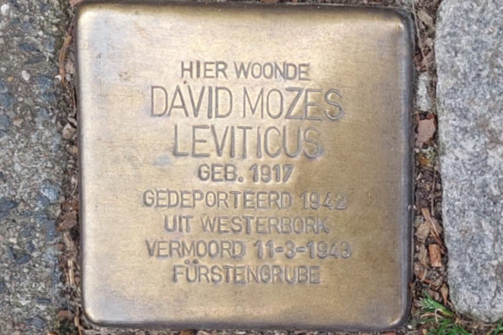 Stolpersteine Krugerlaan 105 #4