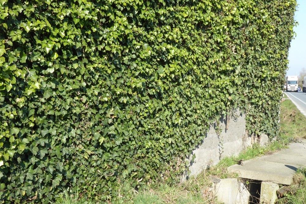 Bunker Belt Bruggenhoofd Gent – Advanced Bunker AV12 #4