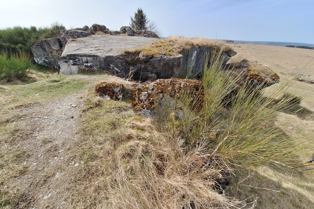 Igel Line Vogelsang - Double MG Casemate Wollseifen #4