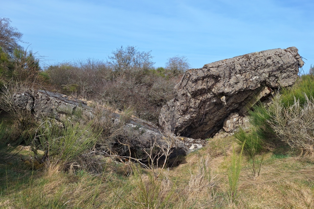 Igel Line Vogelsang - Double MG Casemate Wollseifen #5