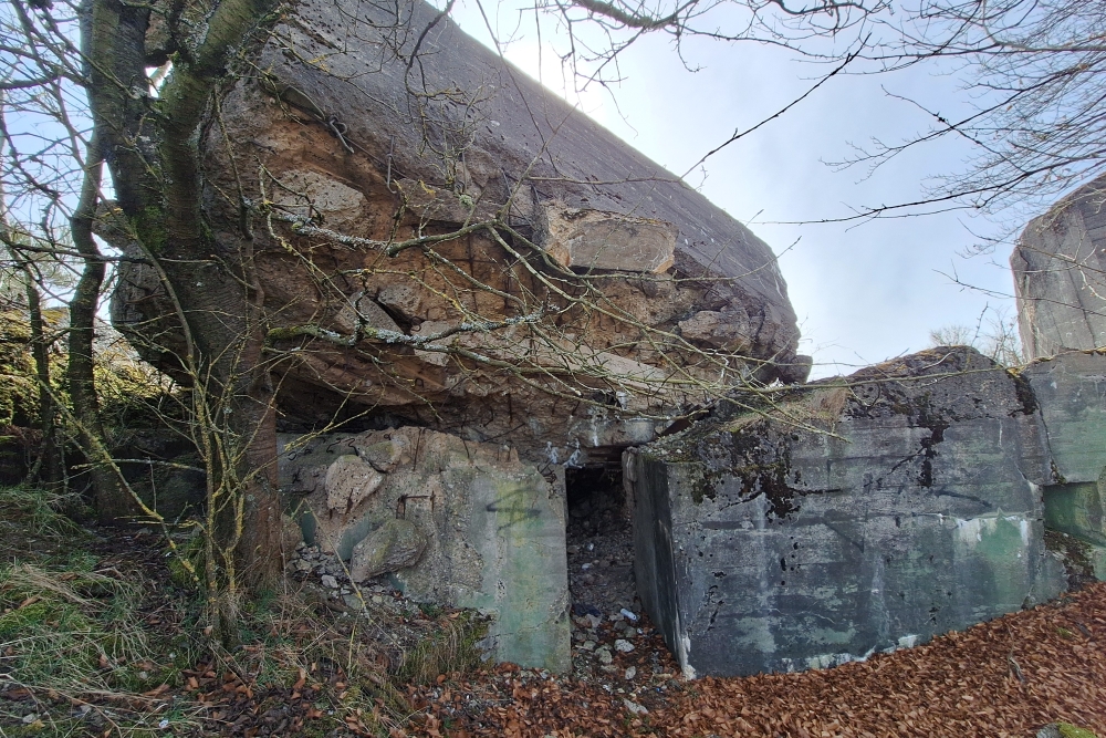 Igel Line Vogelsang - MG Casemate Wollseifen #2