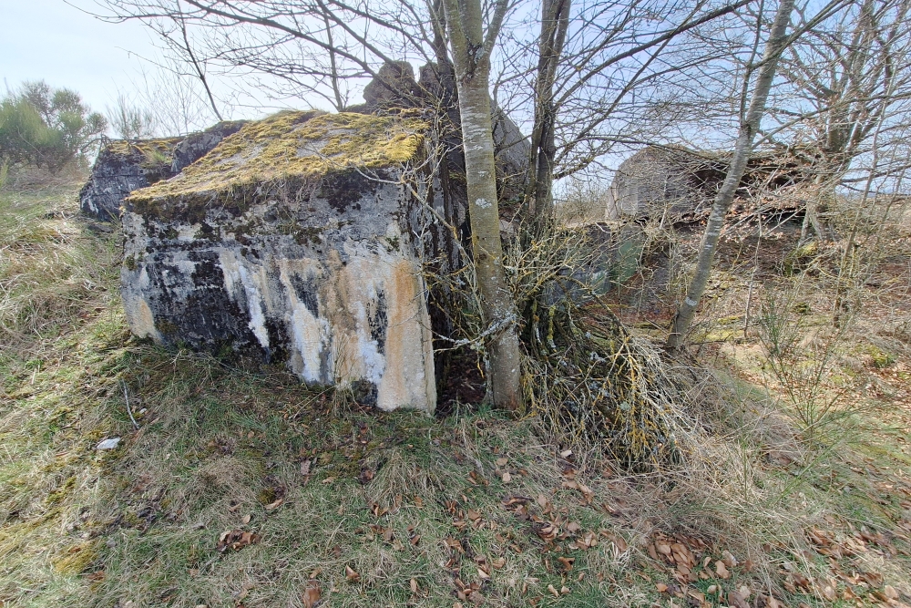 Igel Line Vogelsang - MG Casemate Wollseifen #3