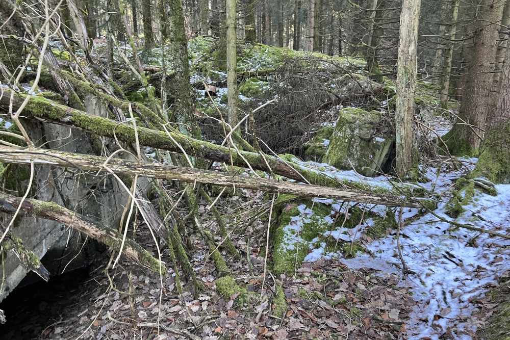 Westwall – Restant Bunker Ormont #2