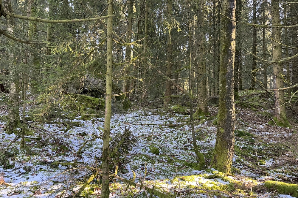 Westwall – Restant Bunker Ormont #3