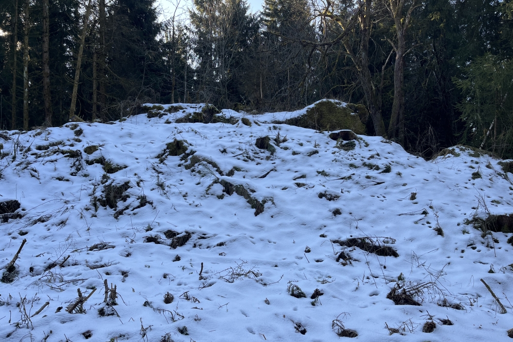 Westwall - Remains Bunker Ormont  #1