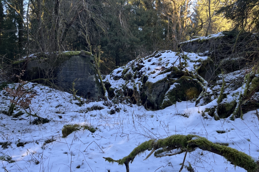 Westwall - Remains Bunker Ormont  #2