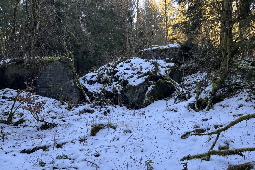 Westwall - Remains Bunker Ormont  #5