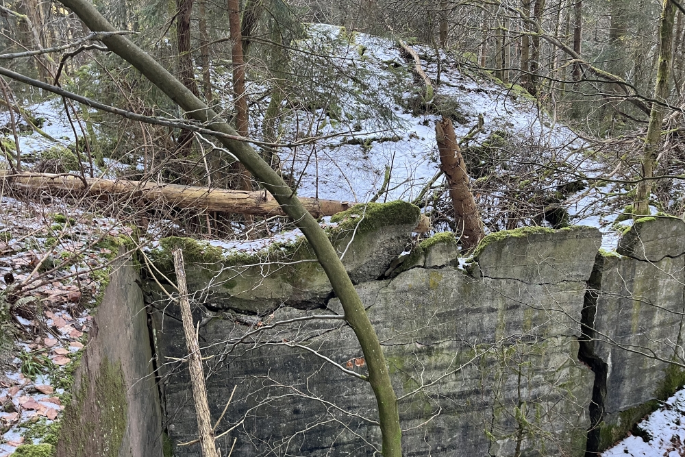 Westwall – Restant Bunker Ormont #5