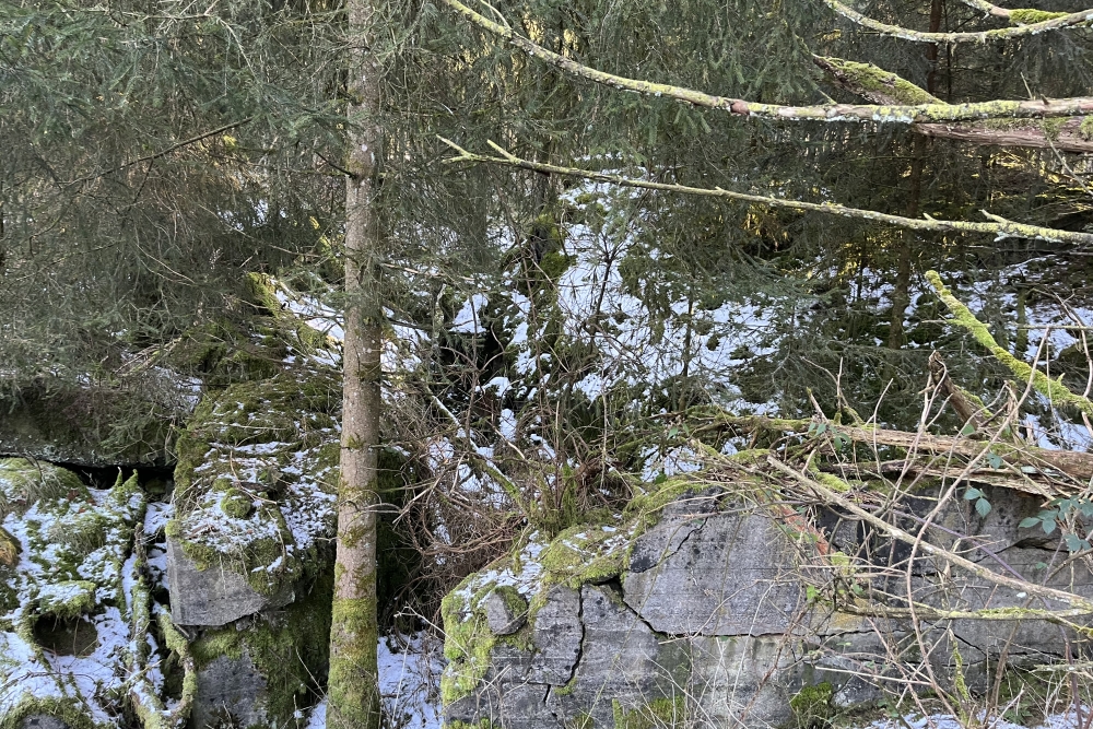 Westwall - Remains Bunker Ormont  #2