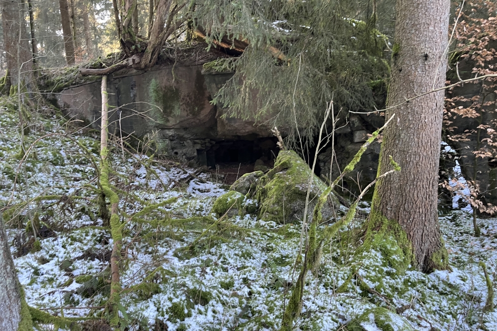 Westwall - Remains Bunker Ormont  #3