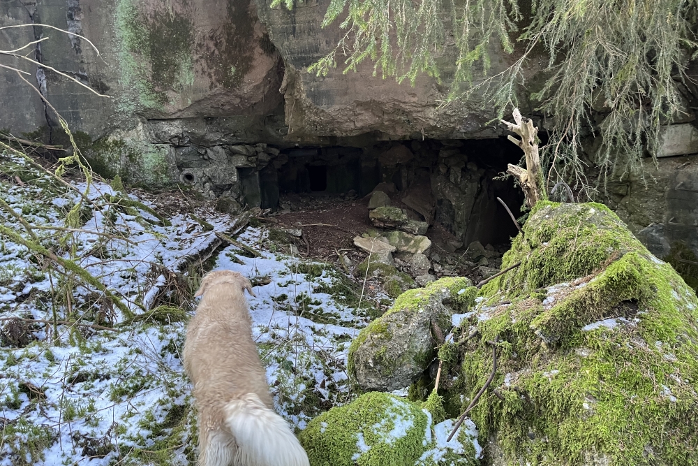 Westwall - Remains Bunker Ormont  #4