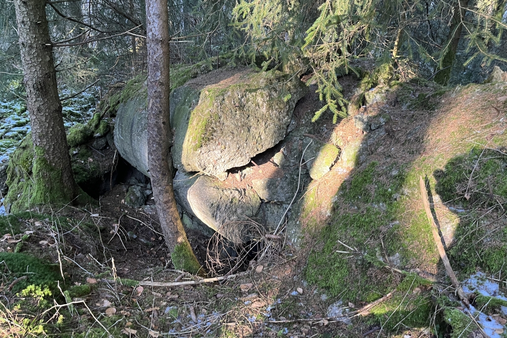 Westwall - Remains Bunker Ormont  #5