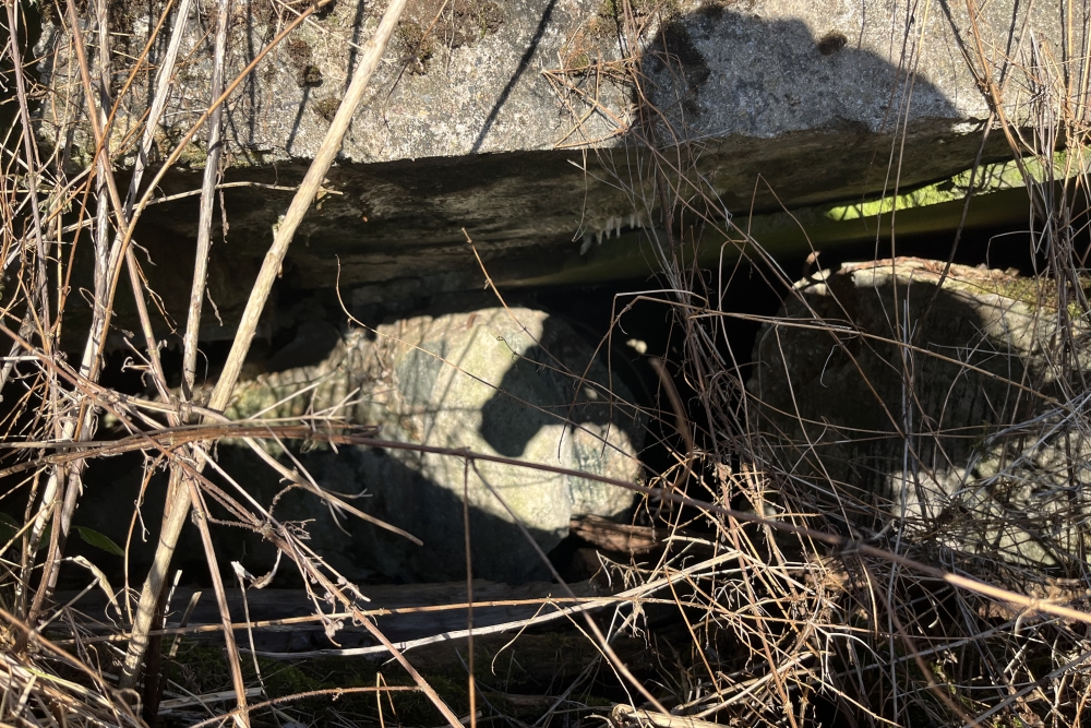Westwall – Restant Bunker Ormont  #2