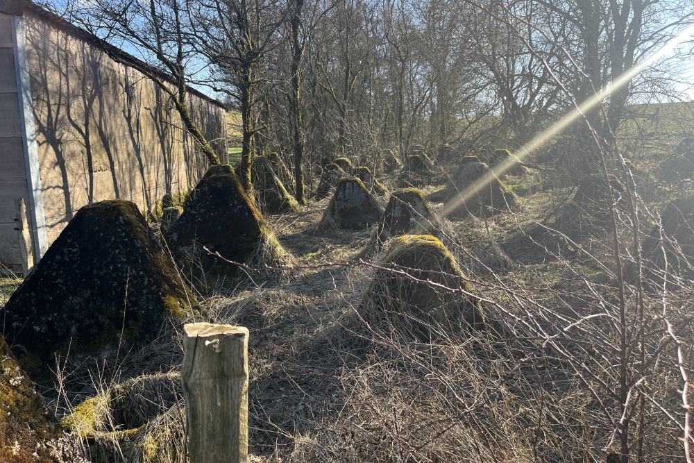 Westwall - Tank Barrier Taubkyll  #1