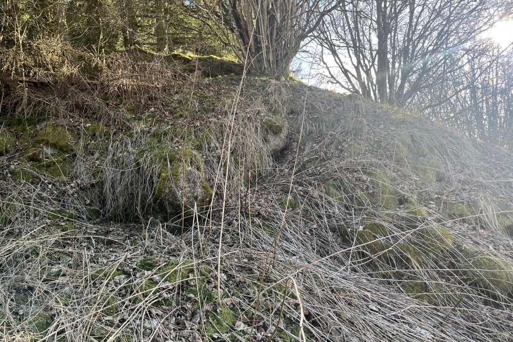 Westwall - Remains Bunker Ormont. 