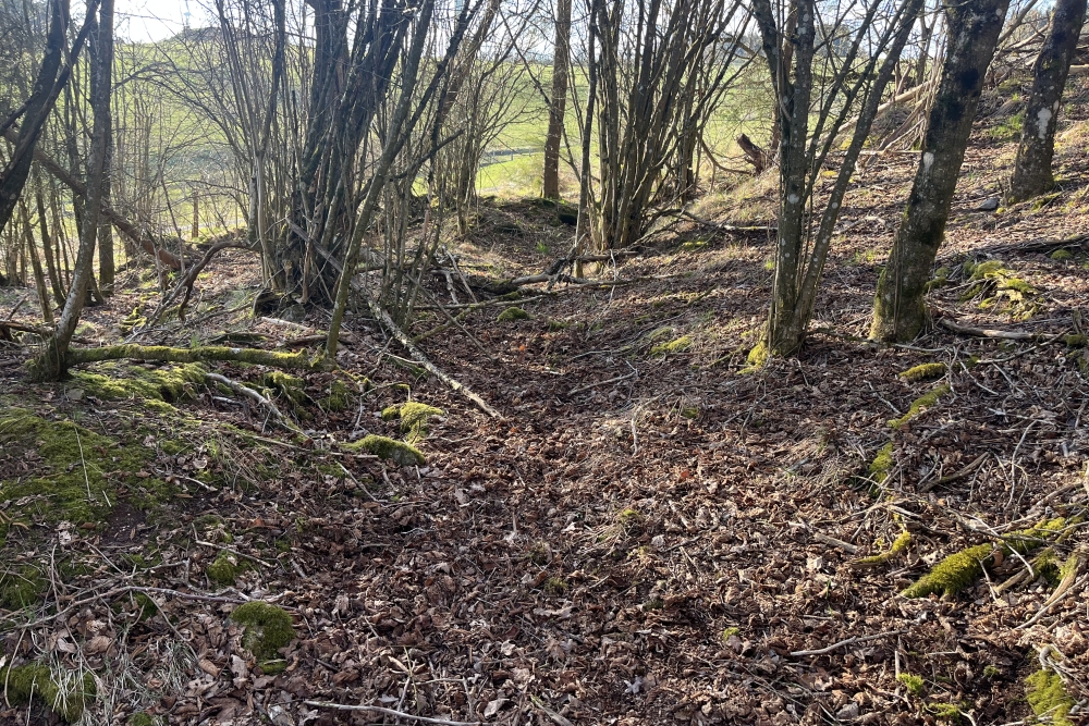 Westwall - Remains trenches  #2