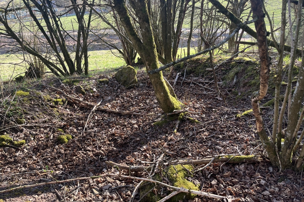 Westwall - Remains trenches  #3