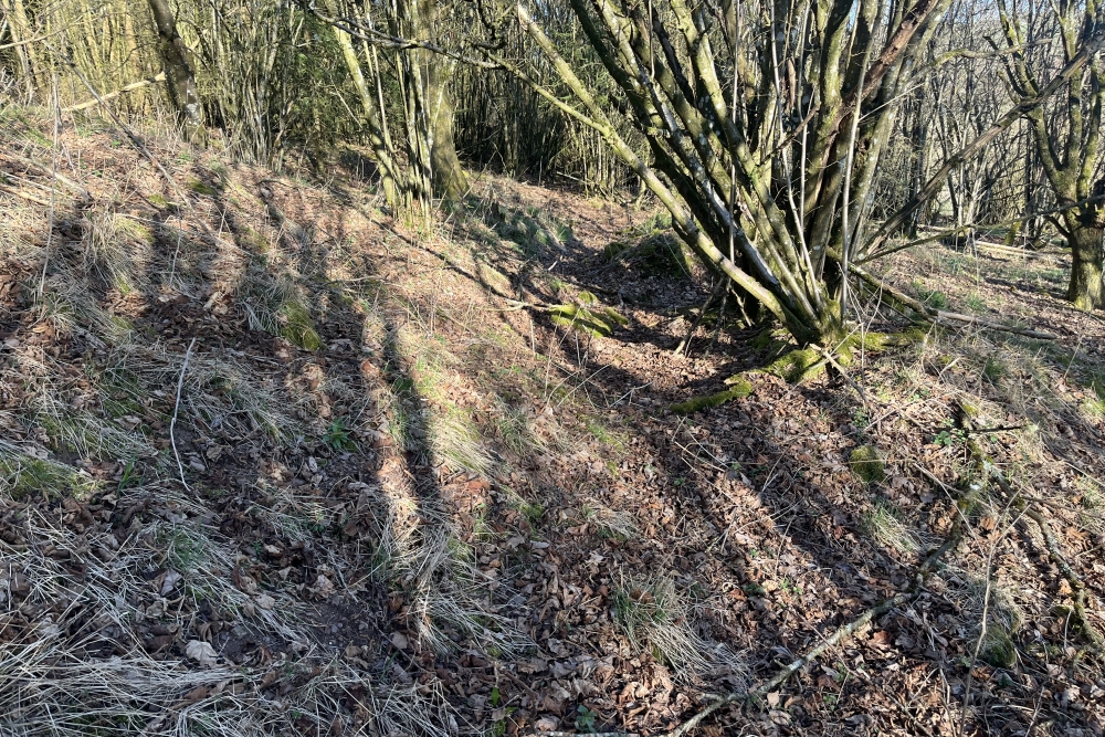 Westwall - Remains trenches  #4