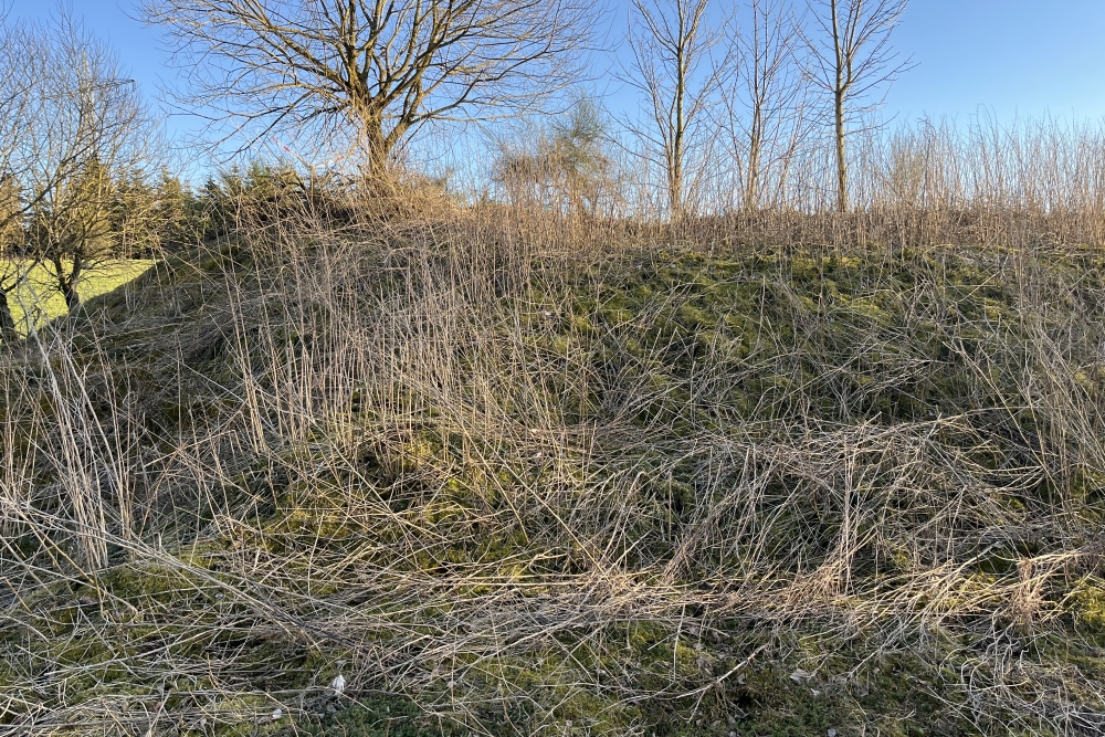Westwall - Remains Bunker Hallschlag