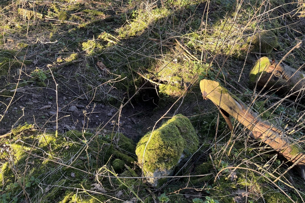 Westwall – Restant Bunker Hallschlag