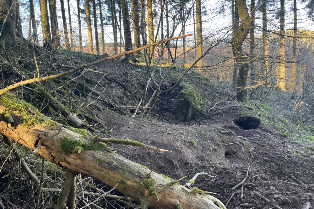 Westwall – Restant Bunker Hallschlag #2