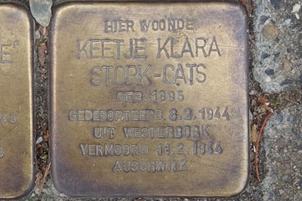 Stolpersteine Krugerlaan 109 #6