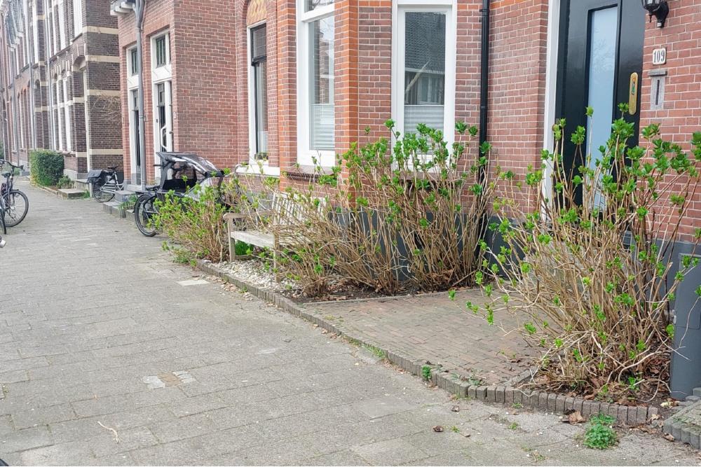 Stolpersteine Krugerlaan 109 #7
