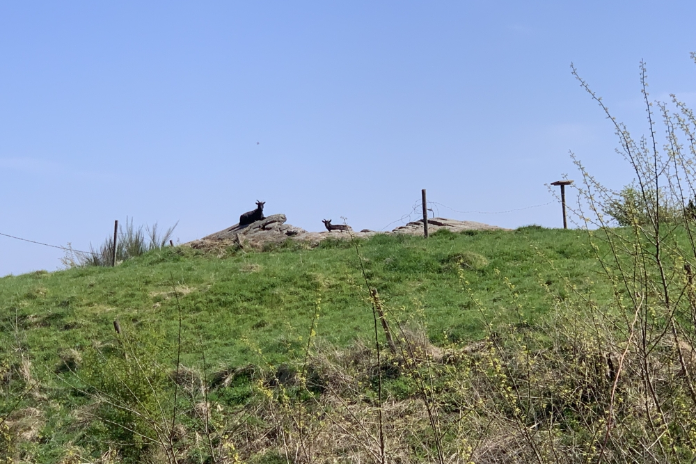 Turret for the 75 mm canon, fort Flémalle #3