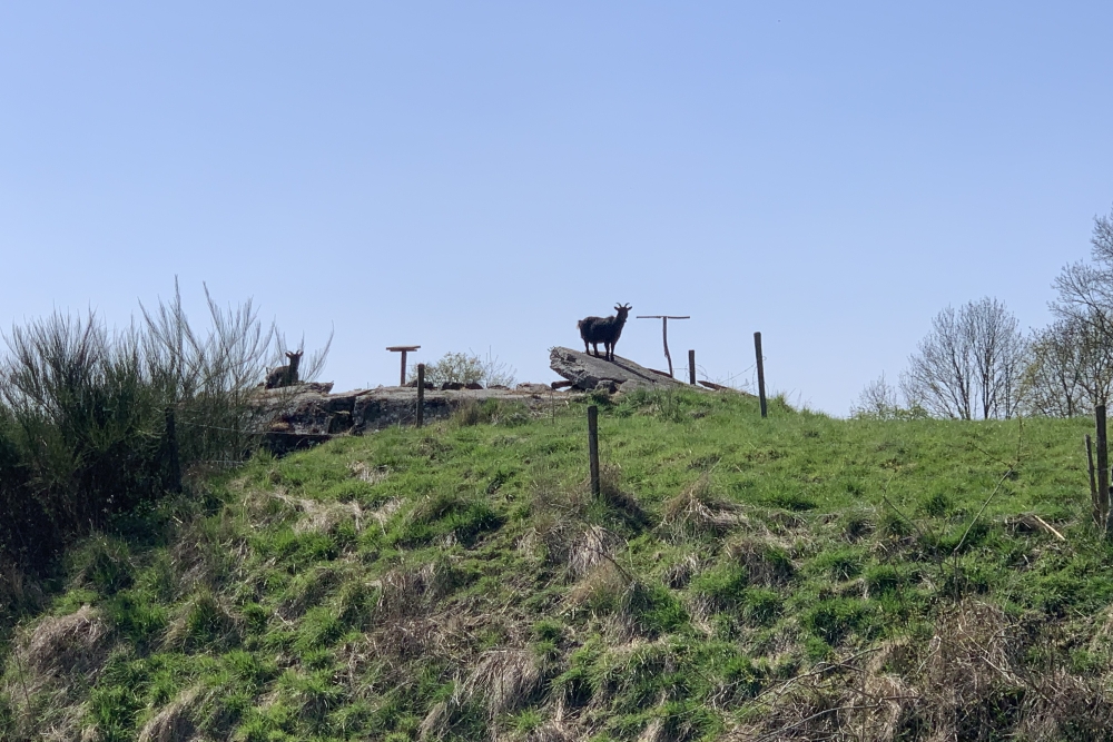 Turret for the 75 mm canon, fort Flémalle #4