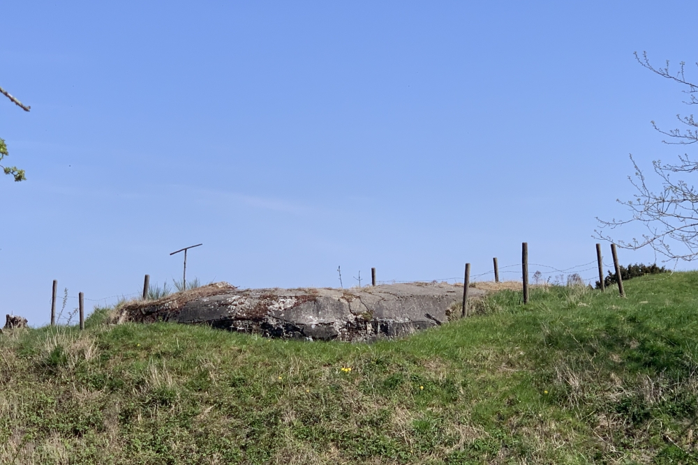 Turret for the 75 mm canon, fort Flémalle #5