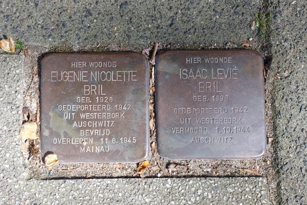 Stolpersteine Mathenesserlaan 417b #2