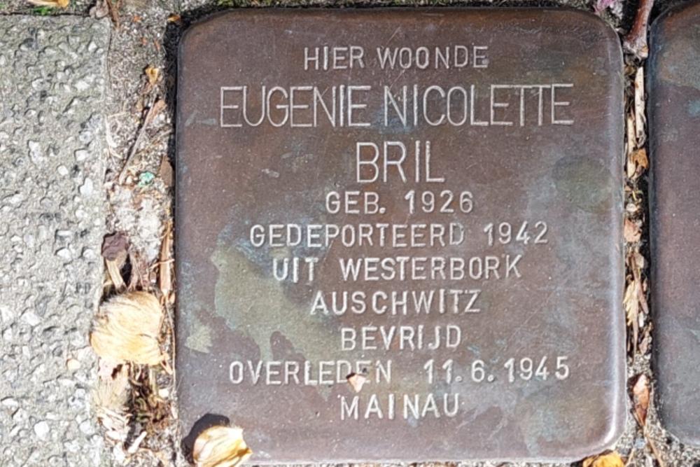 Stolpersteine Mathenesserlaan 417b #3