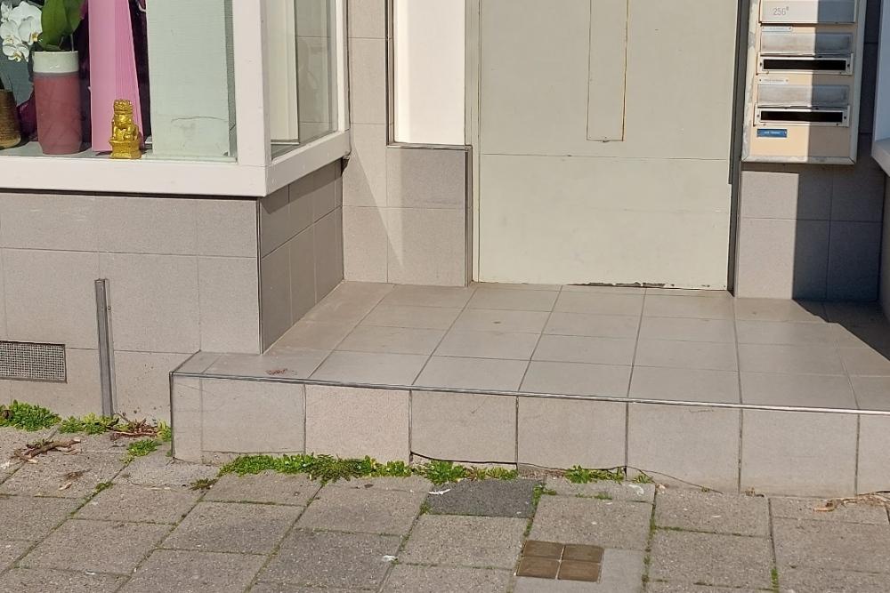 Stolpersteine Rotterdamsedijk 258 #5
